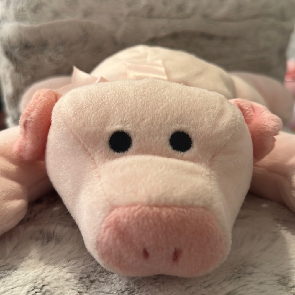 Beanie babies TY